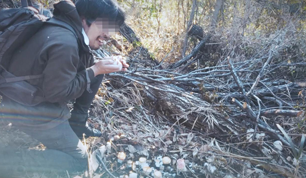 封印映像　シリーズ