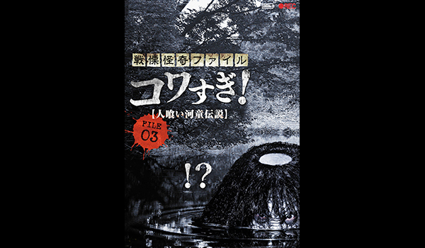 戦慄怪奇ファイル コワすぎ！