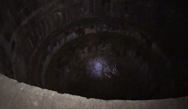 北野誠のぼくらは心霊探偵団 神々と妖怪の島に進撃せよ！