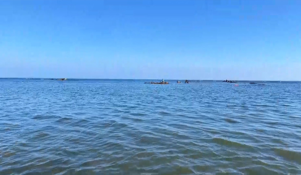 闇動画
