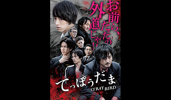 てっぽうだま STRAY BIRD