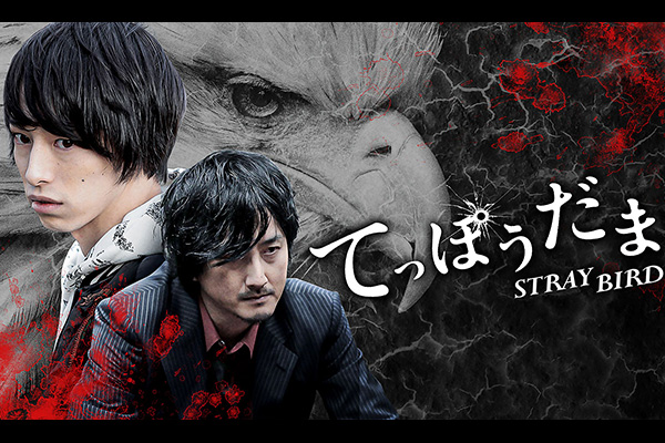 てっぽうだま STRAY BIRD
