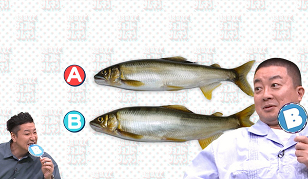 超町人！チョコレートサムネット