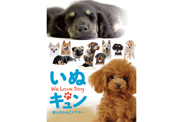 いぬキュン 癒しのわんこシアター