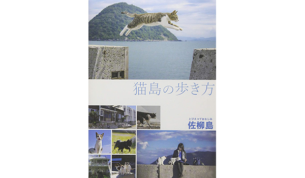 猫島の歩き方 佐柳島