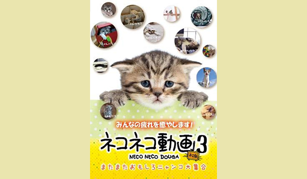 ネコネコ動画3　またまたおもしろニャンコ大集合
