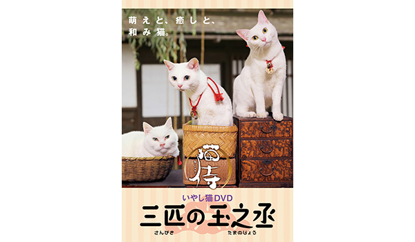 猫侍 三匹の玉之丞