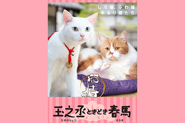猫侍 玉之丞ときどき春馬