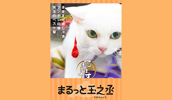 猫侍 まるっと玉之丞