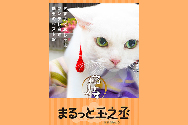 猫侍 まるっと玉之丞