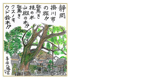 ウドちゃんの旅してゴメン エンタメ テレ やんちゃな大人の刺激的エンターテイメントチャンネル ウドちゃんの旅してゴメン エンタメ テレ やんちゃな大人の刺激的エンターテイメントチャンネル